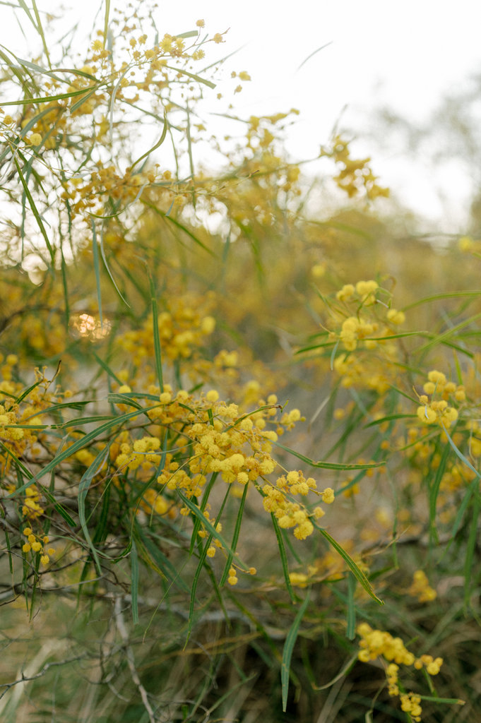 Wendy and Karlo Online-122