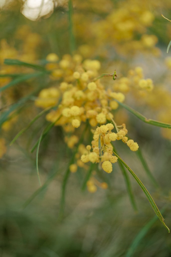 Wendy and Karlo Online-128