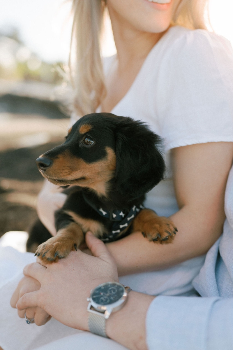 ZackandJacquiportraits-127