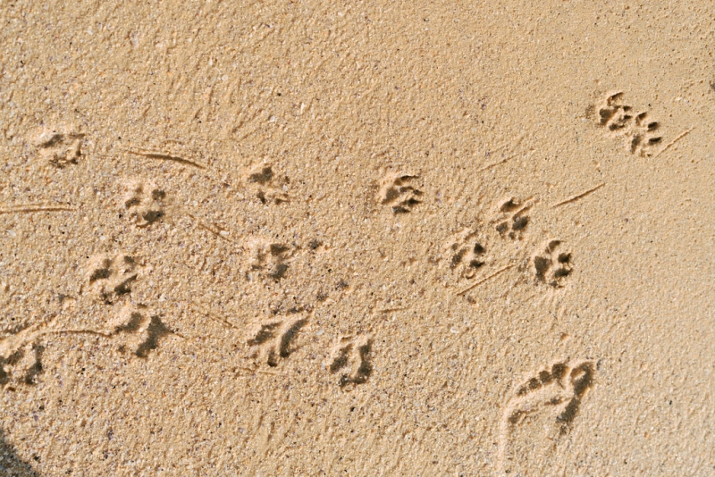 ZackandJacquiportraits-137