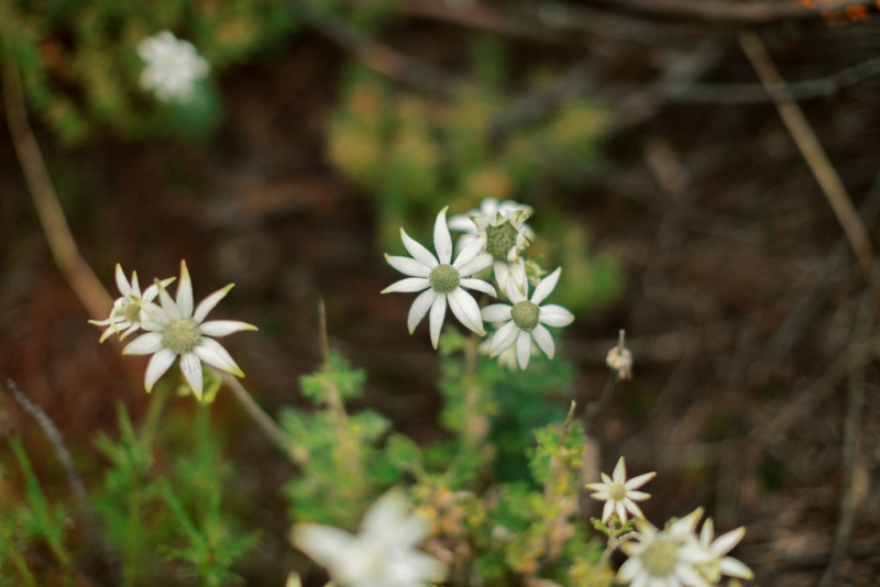 bernie and jon Pre Wedding-21