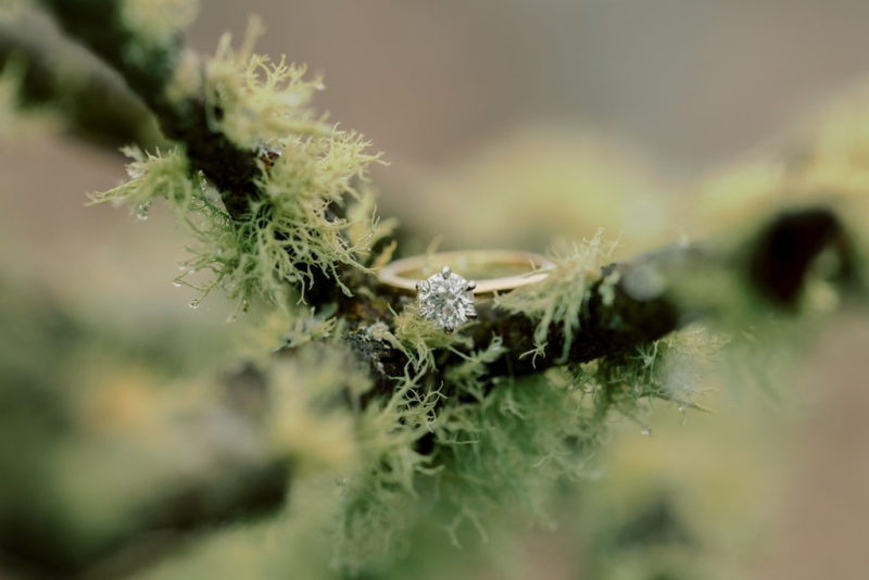 bernie and jon Pre Wedding-23