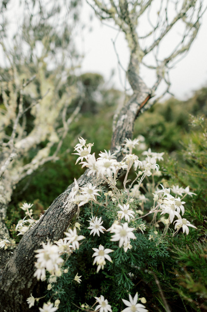 bernie and jon Pre Wedding-42
